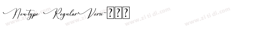 Newtype RegularVersi字体转换 Newtype RegularVersi字体转换